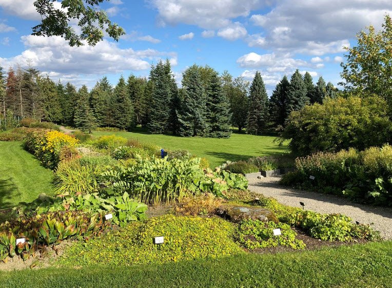 NTNU Ringve Botanical Garden, Norway